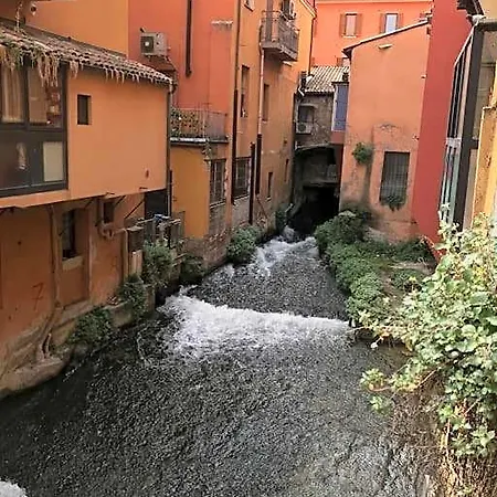 A Modo Mio - Monolocale - Zona Stadio Ospedale Maggiore